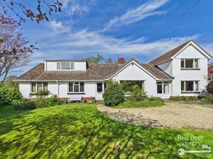 Front- click for photo gallery